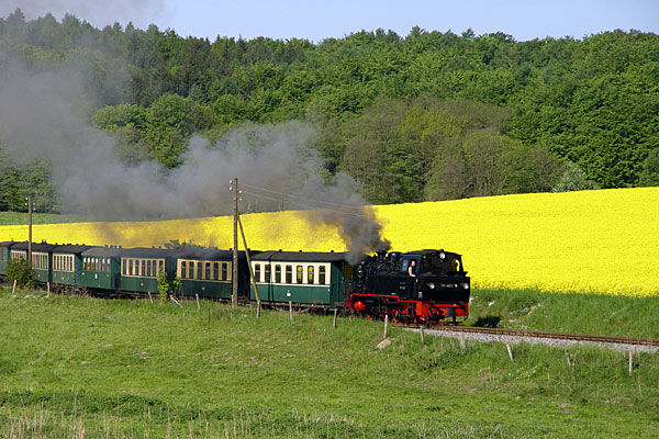 Kleinbahn Rasender Roland